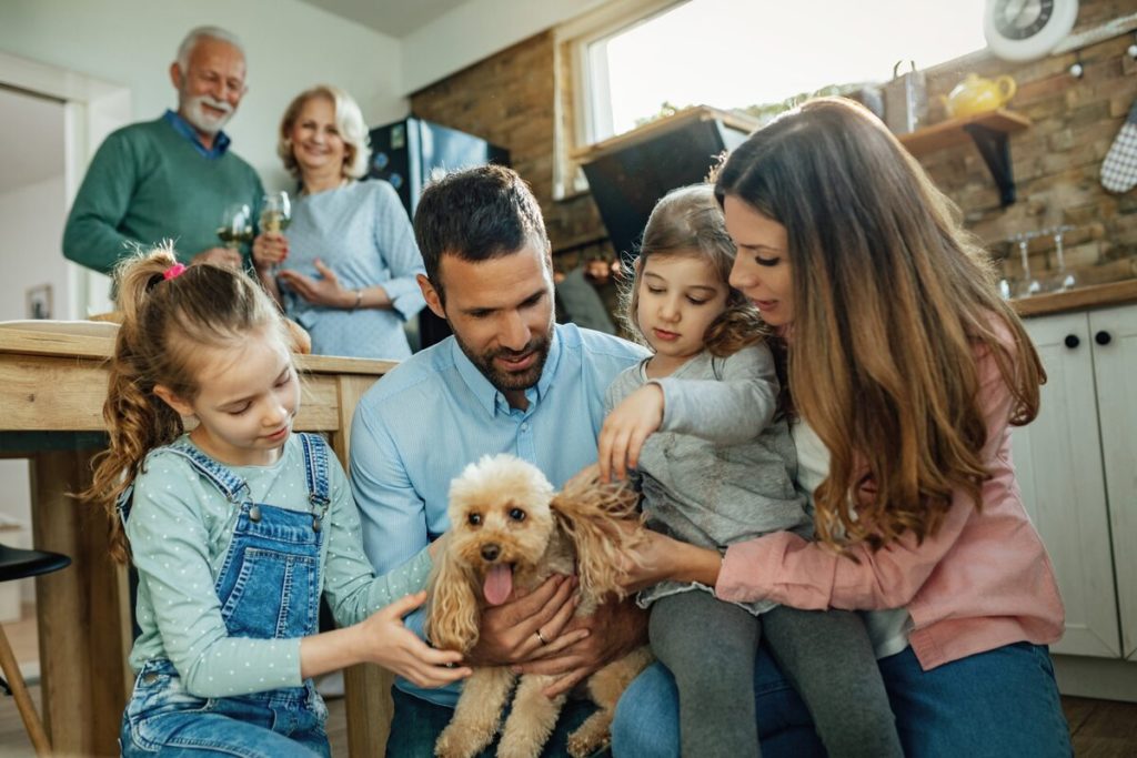 cães e famílias